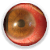 enf_sistemicas